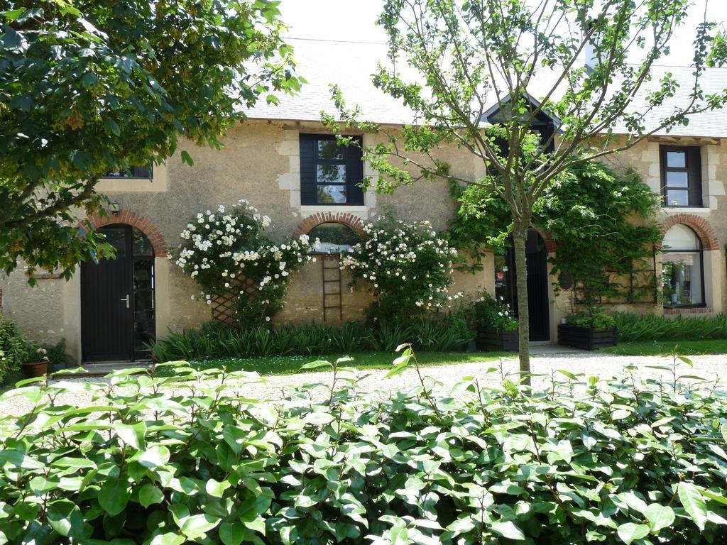 La Ligne Bed & Breakfast Angles-sur-lʼAnglin Exterior foto